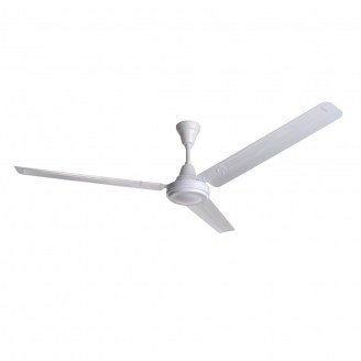 Rapid White188